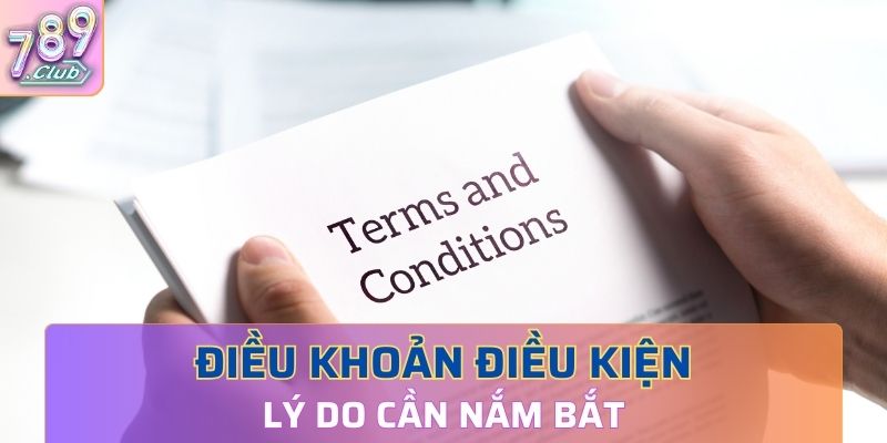 Website và người dùng trong miễn trừ trách nhiệm